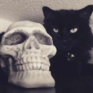 Apocalypse Meow!