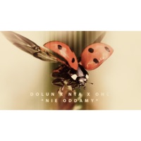 Nie oddamy (feat. NTA & OHC) - Single - Dolun
