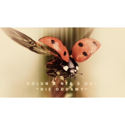 Nie oddamy (feat. NTA & OHC) - Single