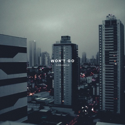 Won't Go - Single