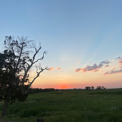 Give me back my fucking sweater (feat. Krookid & NO!) - Single