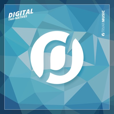 DHW Steuerfighter - Single