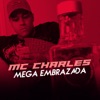 Mega Embrazada - Single