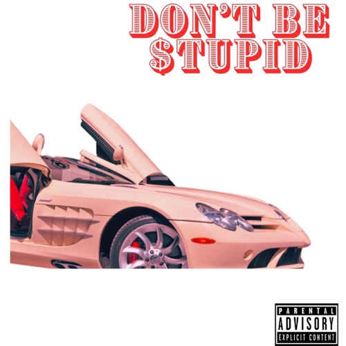 DontBestupid - Single