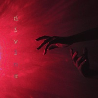 Divine - Single - Shn Shn