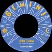 Skinshape - I Didn't Know - Dub Version