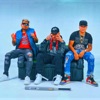 Kokodrill (feat. Forty DMG & Raffc) - Single