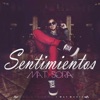 Sentimientos, Vol. 1 - EP