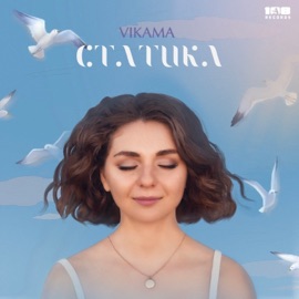 Статика Vikama