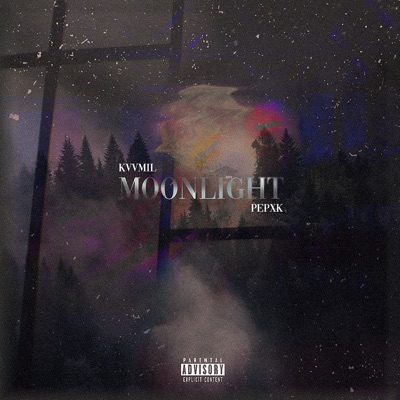 Moonlight (feat. Pepxk) - Single