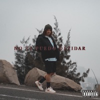 No te puedo olvidar - Single - Diego Palace