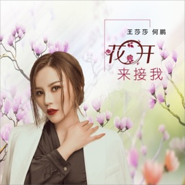 花开来接我 王莎莎 & DJ何鹏