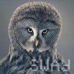 Sway - Single