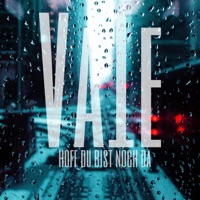 hoff du bist noch da (feat. Valious) - Single - va1e