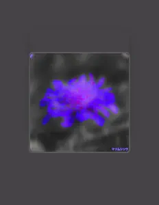 Listen to WTMNT, watch music videos, read bio, see tour dates & more!