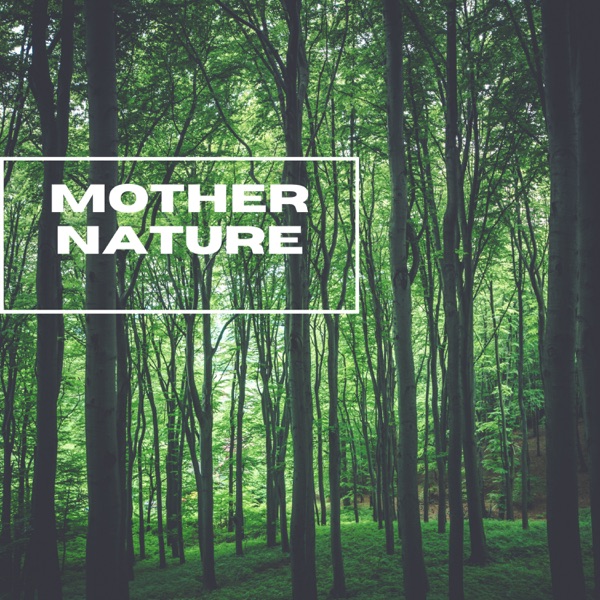 Mother Nature - Thunderstorms In the Nature - EP