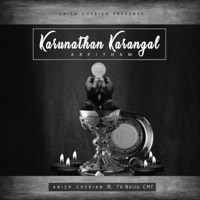 Karunathan Karangal (feat. Fr.Naiju CMF) - Single - Anish Cherian