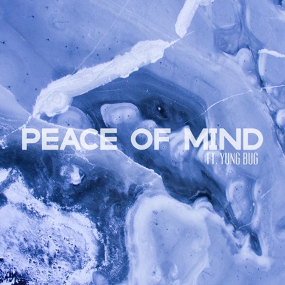 Peace of Mind (feat. Yung Bug) - Single