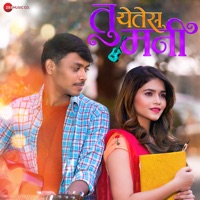 Tu Yetes Mani - Single - Ashok Shinde & Hrishikesh Ranade