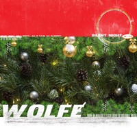 Silent Night - Single - Wolfɇ