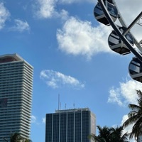 LEMME TAKE YOU OUT (feat. 4LEXANDER) - Single - Aleksy Garcia