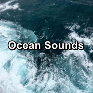 Ocean Sounds