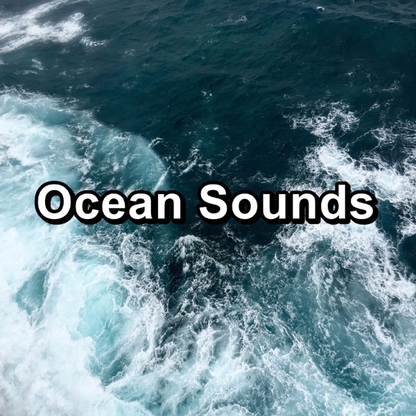 Ocean Sounds