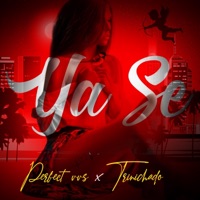 Ya Se (feat. Trinichado) - Single - Perfect Vvs