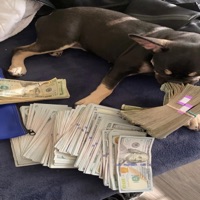 Sorry 4 the Weight (feat. HuggTheRoad GLO) - Single - Roll4l