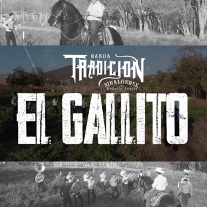 El Gallito
