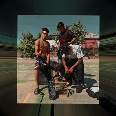 Bandida Chique - Single