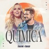 AMIGA LOUCA