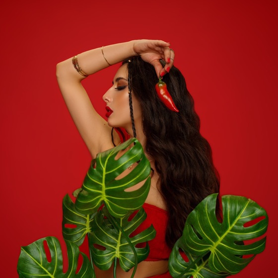 Cover artwork for Sauce