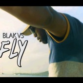 Fly artwork