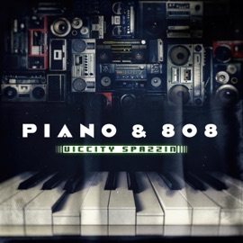 Anywhere Viccity Spazzin