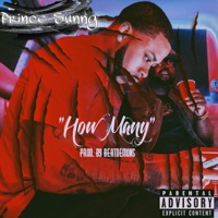 How Many - Single - Prince Sunny