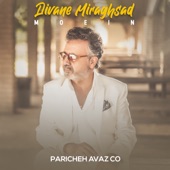 Divane Miraghsad artwork