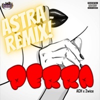 Perra (feat. AstrA, 2wice & Nyzk) [Remix] - Single - Ach