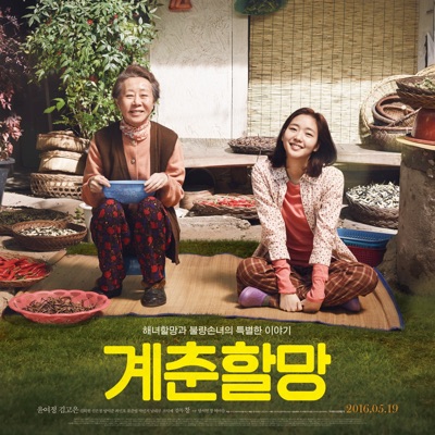 계춘할망-thumbnail