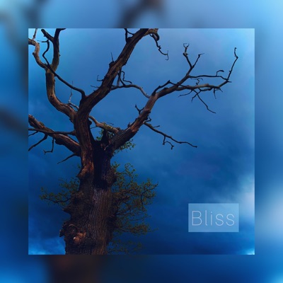 Bliss - Single