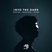 Into the Dark artwork