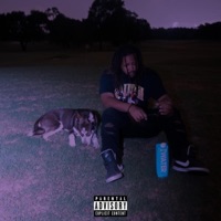 In the Forest - Single - Beamon & Always November