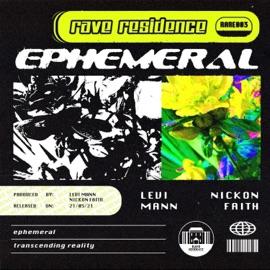 Transcending Reality (Nickon Faith Remix) Nickon Faith & levi mann