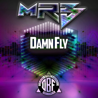 Damn Fly - Single