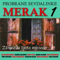Gledala sam sa prozora — Vida Pavlovic