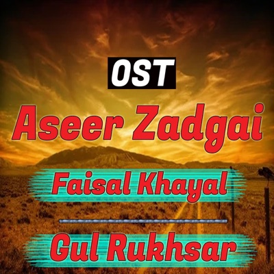 Aseer Zadgai - Single
