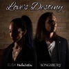 Love's Destiny - Single