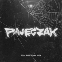 Pajęczak (feat. Młody Ozi) - Single - Fizu