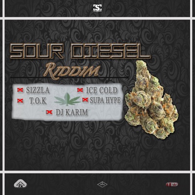 Song - Sour Deisel Riddim - DJ Karim