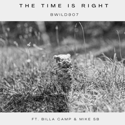 The Time Is Right (feat. Billa Camp & Mike Sb) - Single